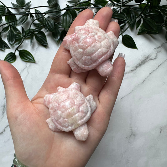 Tartarughe in Opale Rosa