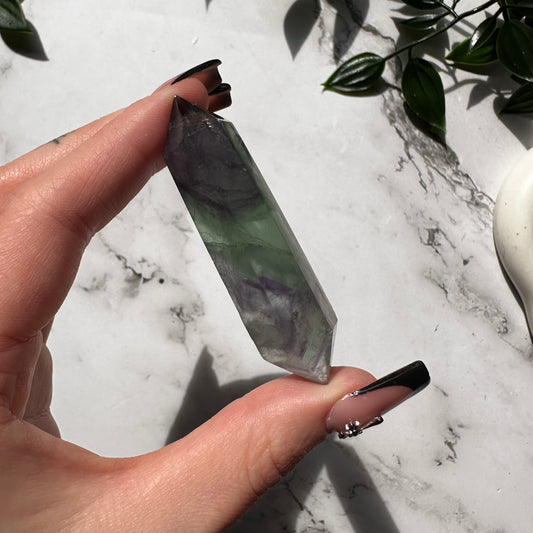 Biterminata in Fluorite