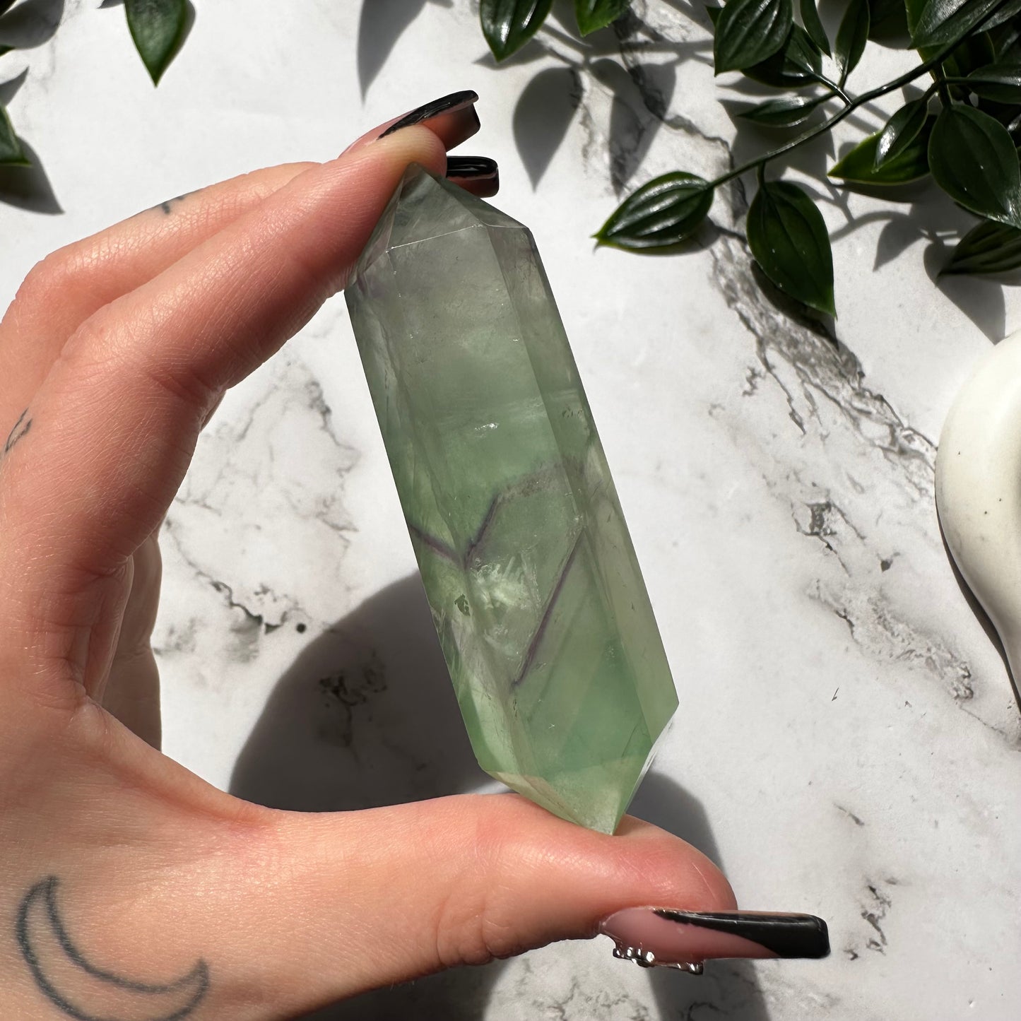 Biterminata in Fluorite