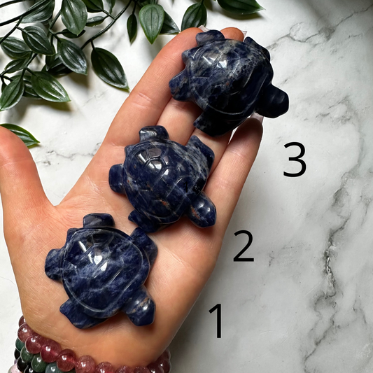 Tartaruga in Sodalite